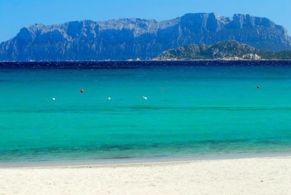 Sardegna Casa A 250 Metri Dal Mare Con Piscina * Olbia