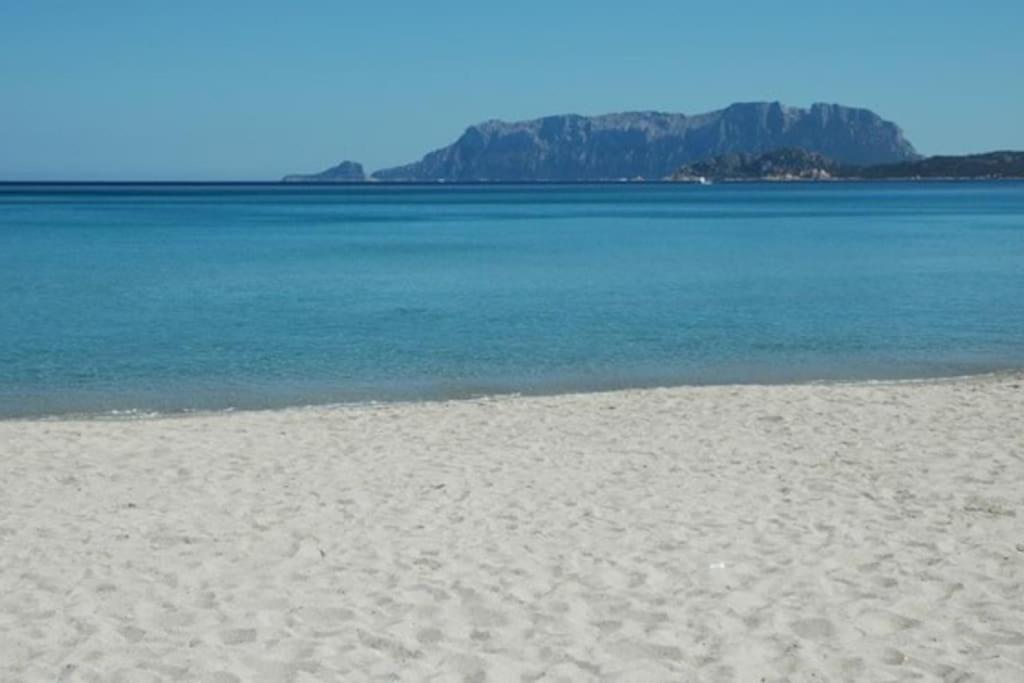 Apartment Sardegna Casa A 250 Metri Dal Mare Con Piscina